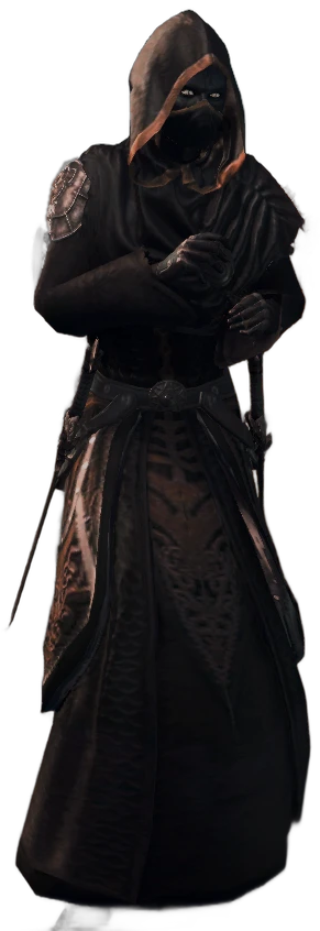 Storm Brawler character, Imperial Sorcerer