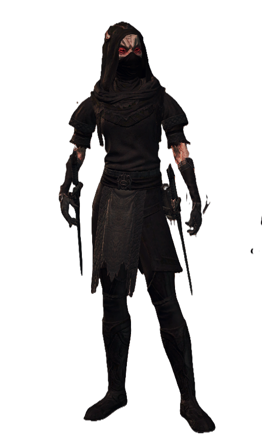 Veilreaper character — Dunmer Nightblade