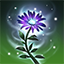 Healing Seed Healing Seed